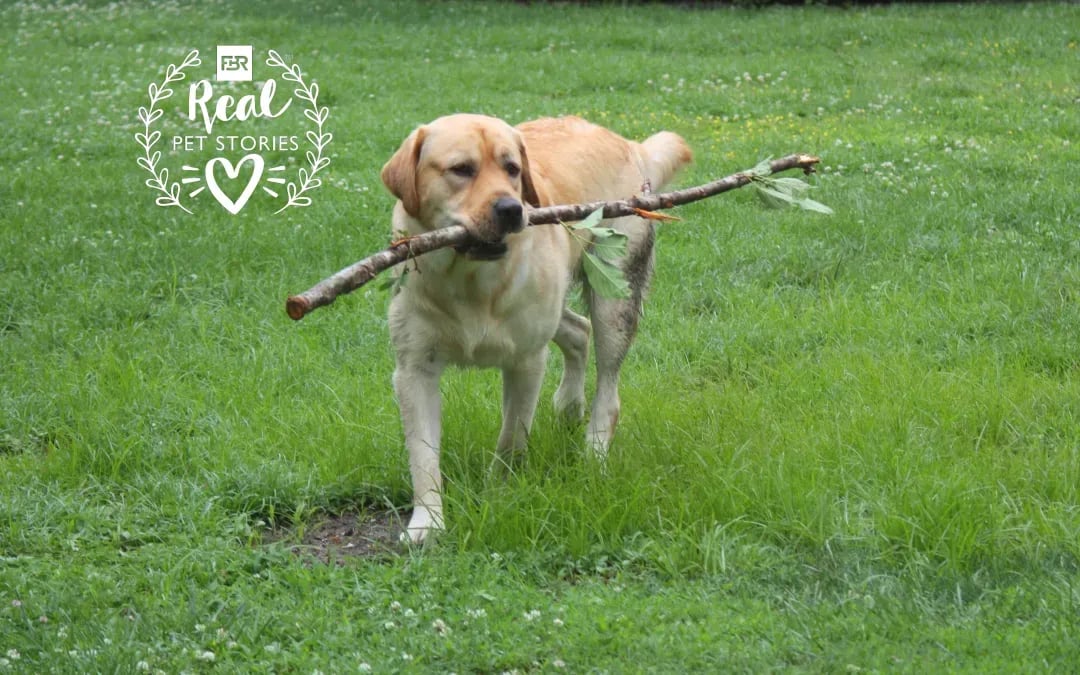 Clyde’s Story: My Best Friend’s Cancerous Tumor Shrunk After Cryotherapy