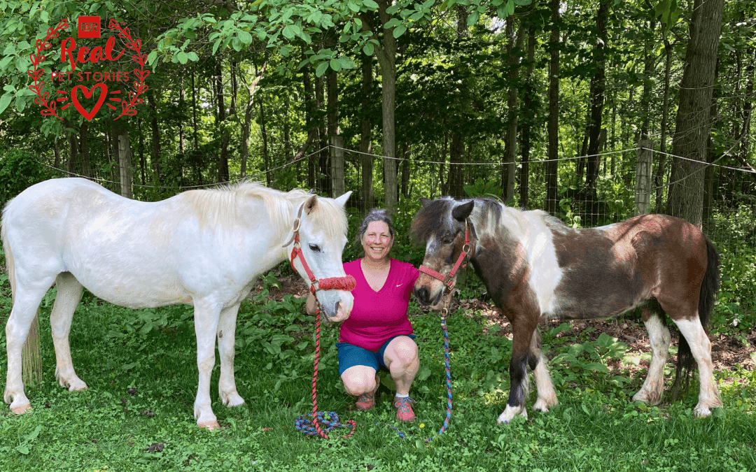 Allegro and Cadence’s Story: My Rescue Ponies