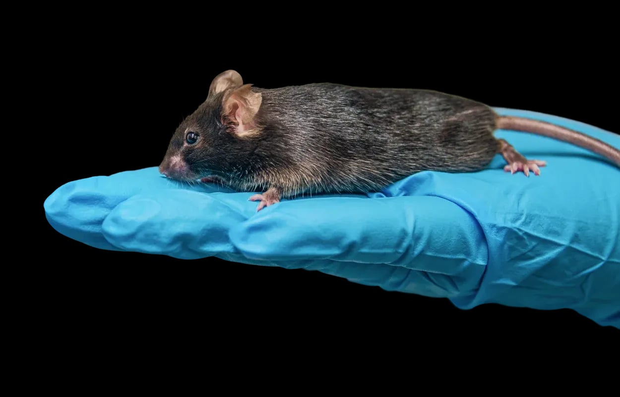 Ethical Research Banner