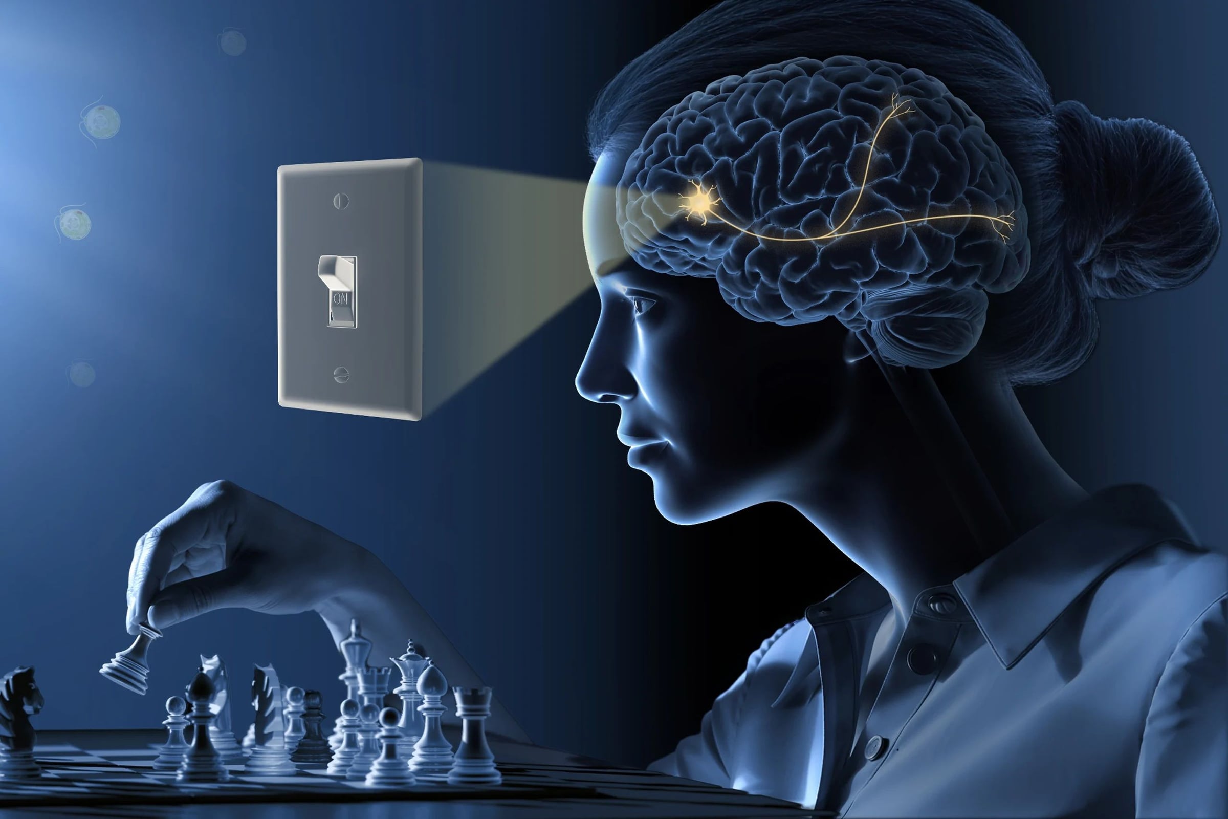 The Nobel Prize in Physiology or Medicine 2026