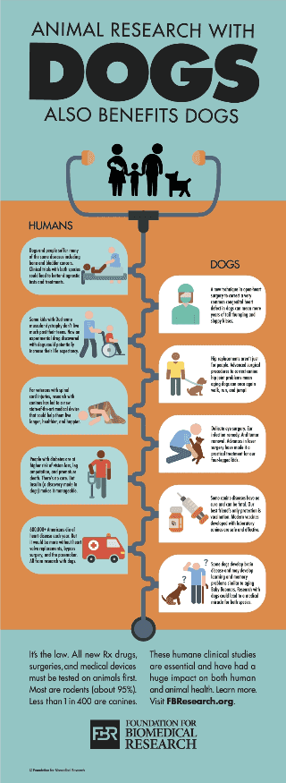 Animal Research with Dogs Also Benefits Dogs!