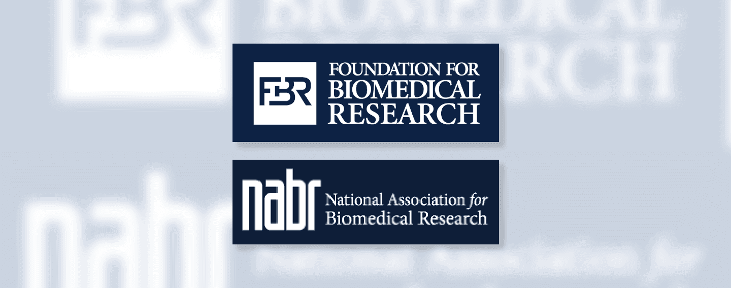 4 Things I Learned Through My Dog’s Battle with Cancer