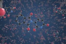 Here’s What Thalidomide Taught Us About the Importance of Thorough Drug Testing With Animal Models