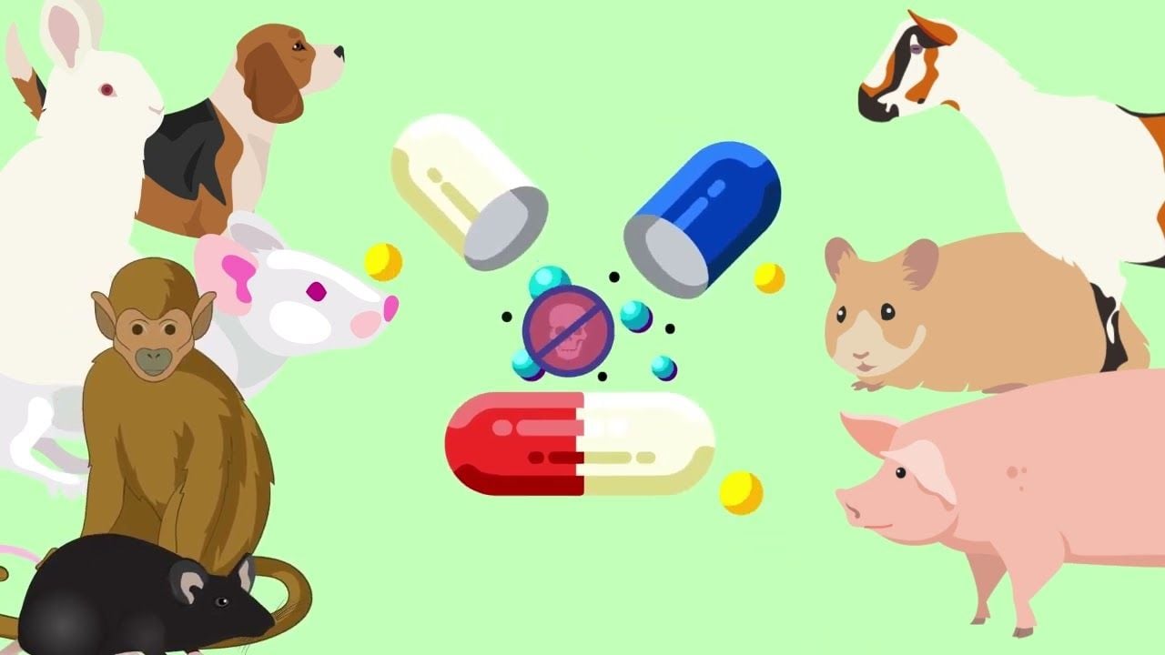 How Medicines Are Made