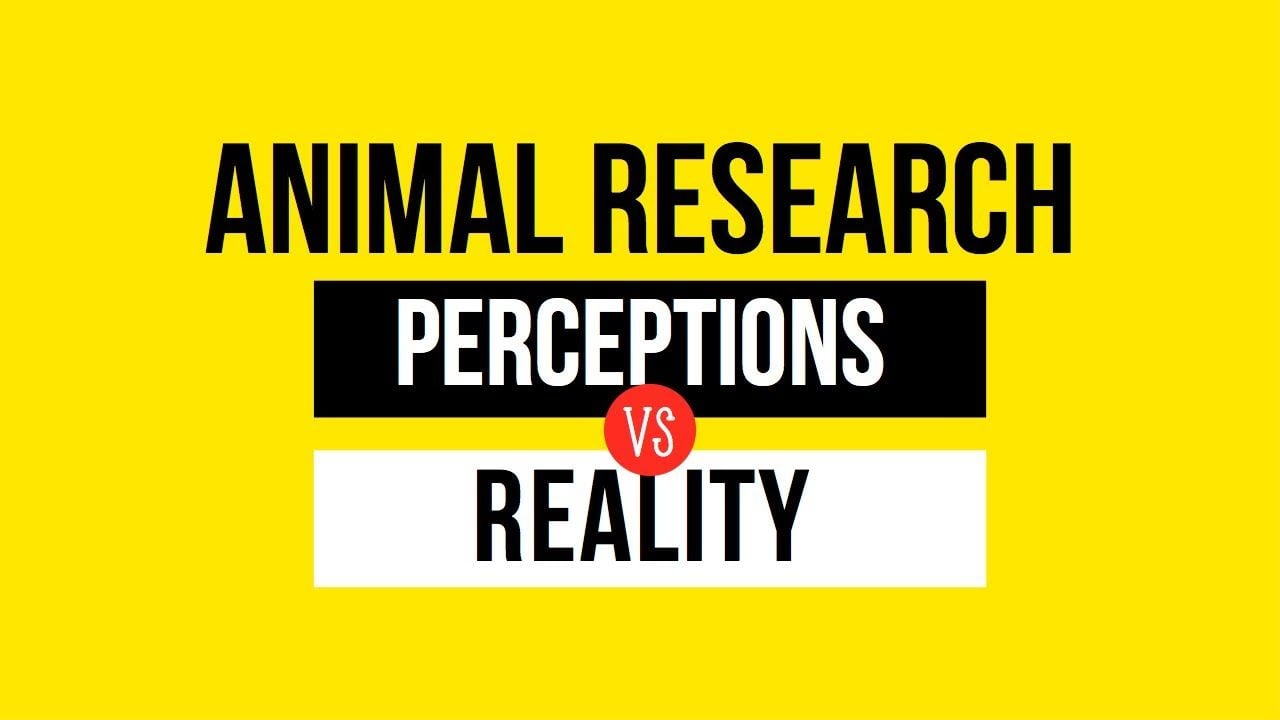 Animal Research Perceptions vs Reality : A Digital Flipbook (2020)