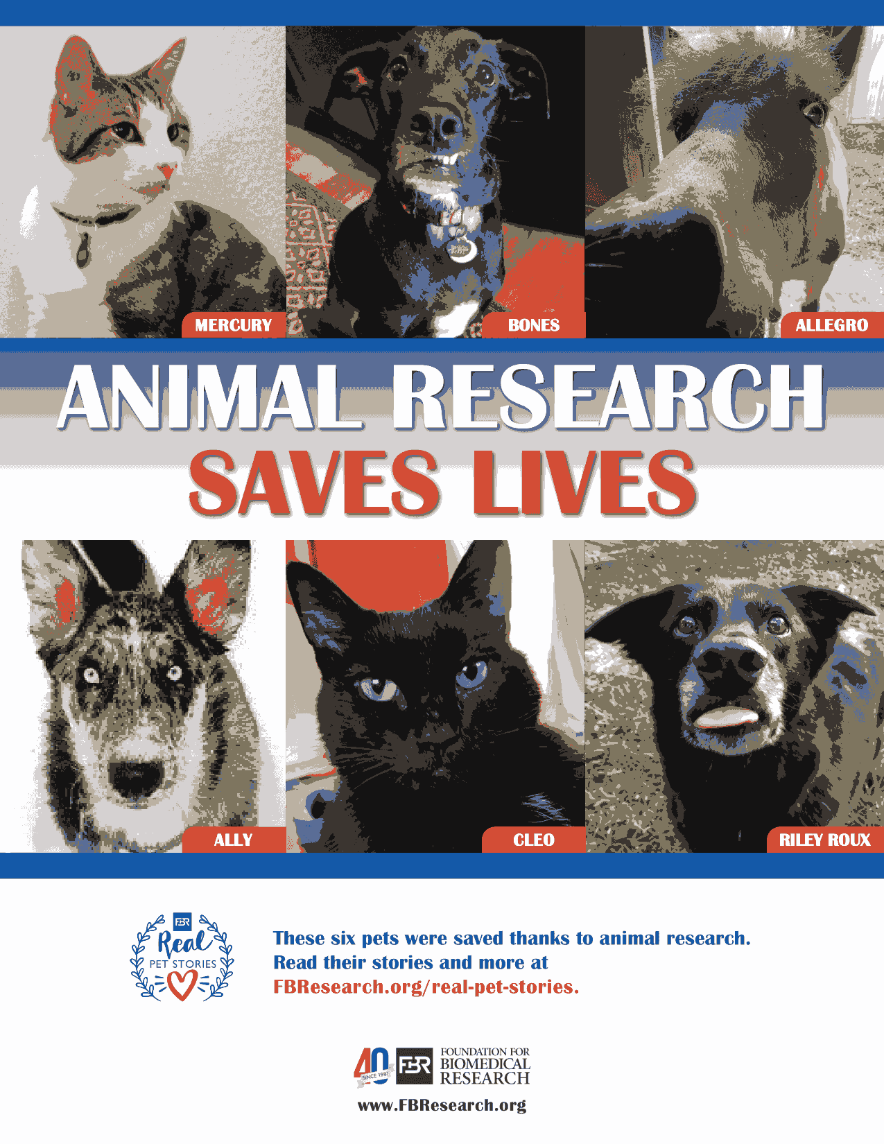 Pet Stories 40th Anniversary