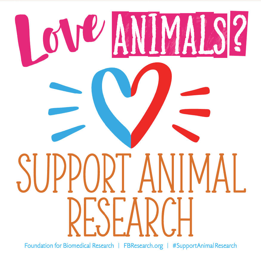 Love Animals? Square