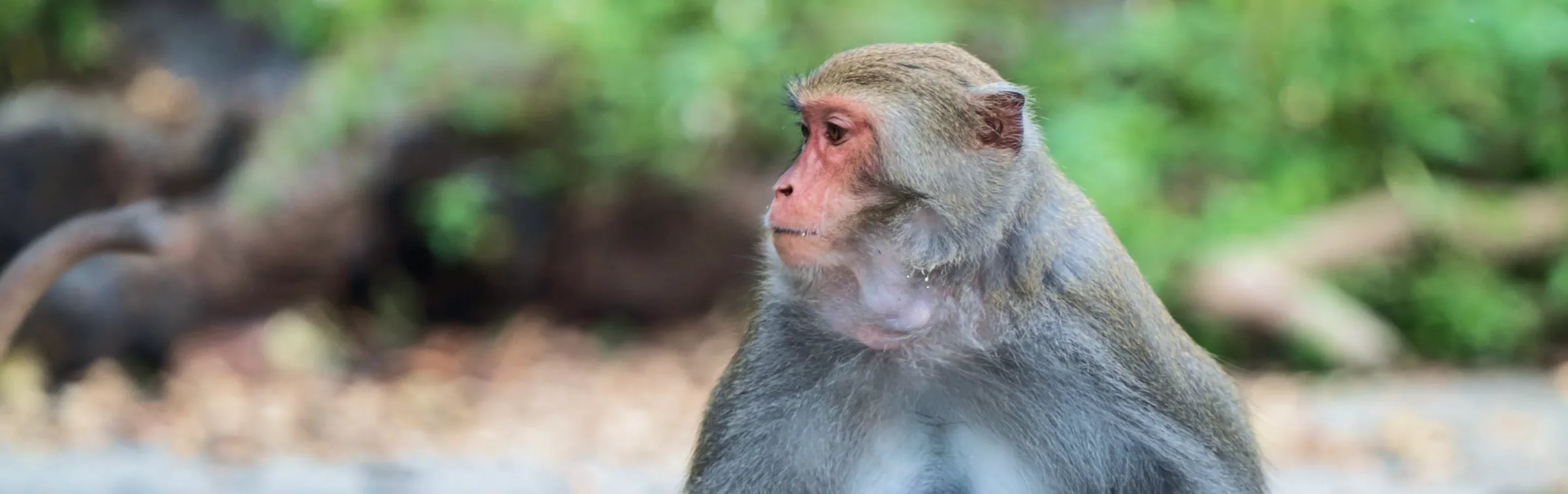 Support the Science Behind Every Breakthrough